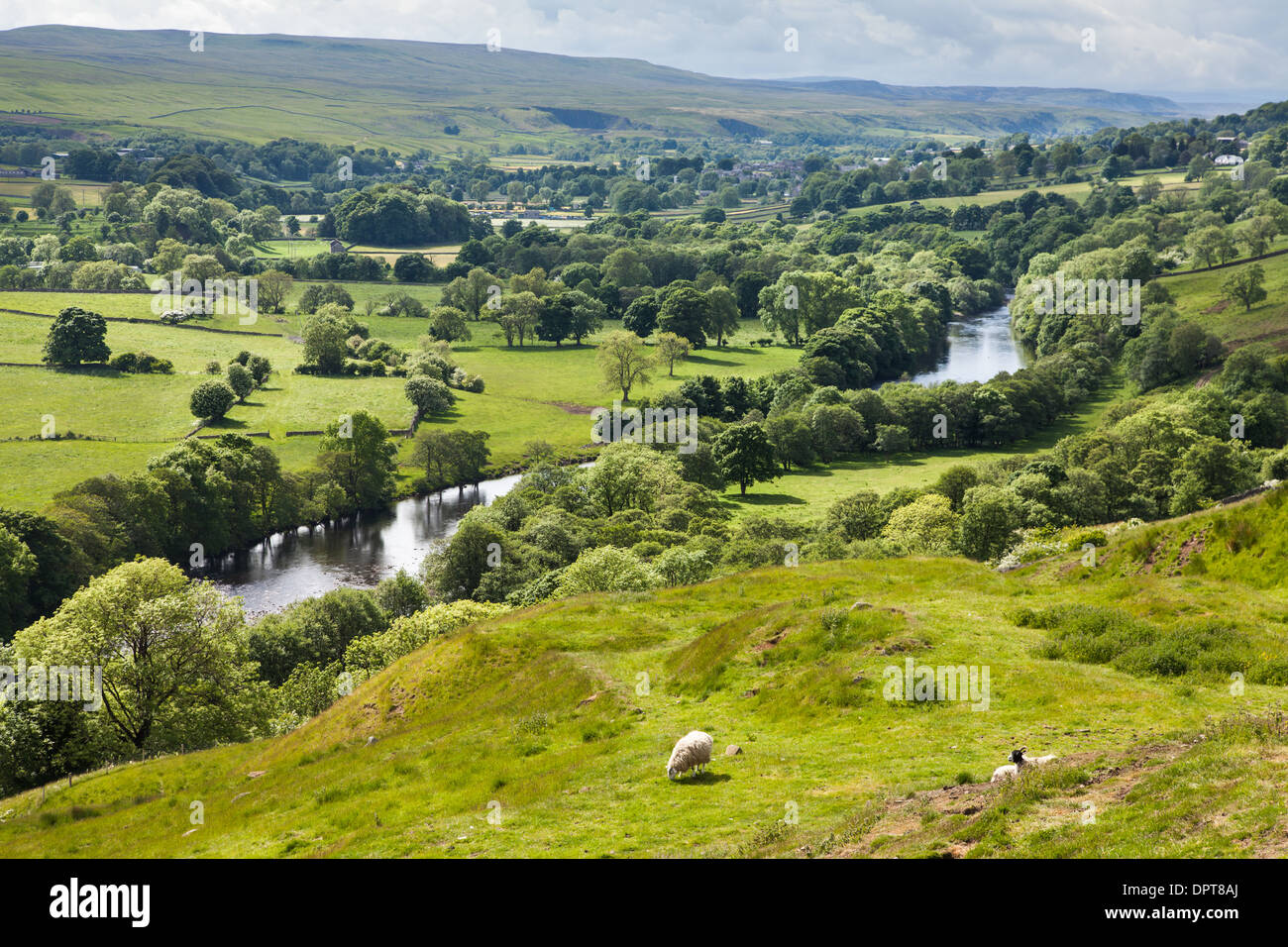 River Tees and Meadows, Upper Teesdale, England Stock Photo