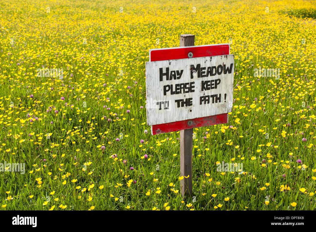 Advice signs, Keep to Footpath, Bowlees, Meadows, Upper Teesdale, England Stock Photo