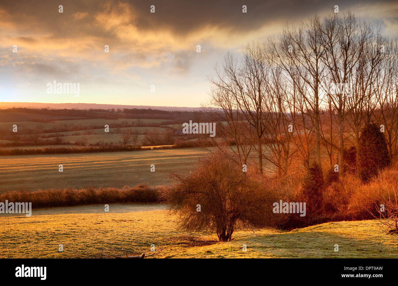 Farmland near Chipping Campden, Cotswolds, Gloucestershire, England. Stock Photo