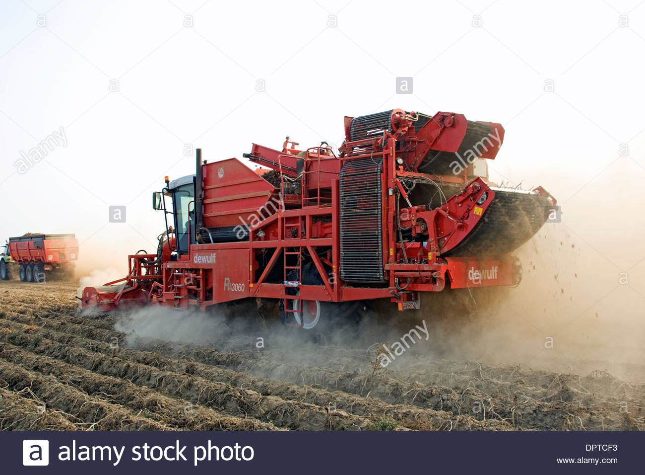 Harvesting Potatoes Machine Stock Photos & Harvesting Potatoes Machine