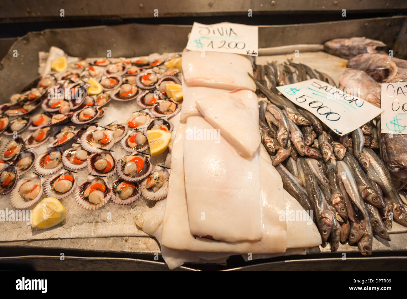 SANTIAGO, Chile - Fresh fish, squid, and scallops for sale at Mercado  Central de Santiago, Chile's central market. The market specializes in  seafood, a staple food category of Chilean cuisine. The building