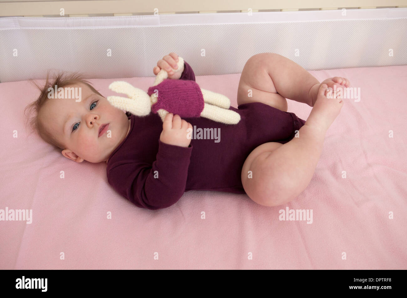Baby girl lying in her cot and playing with a soft toy Stock Photo Alamy