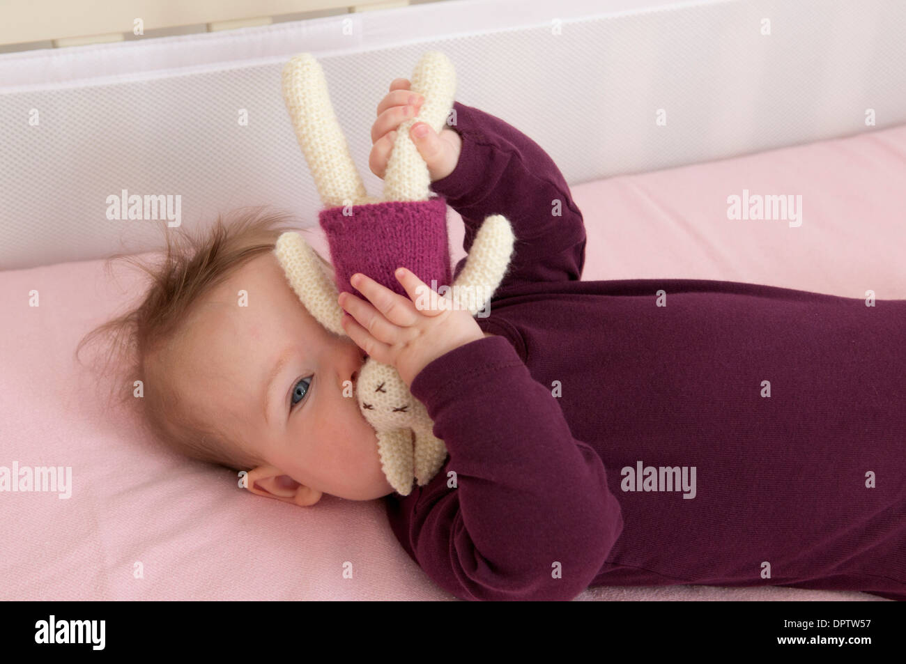 Baby girl lying in her cot and playing with a soft toy Stock Photo Alamy