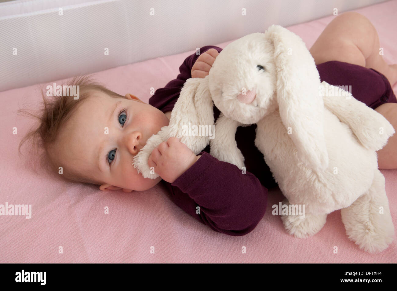 Baby girl lying in her cot and playing with a soft toy Stock Photo Alamy