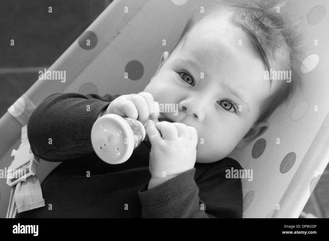 Black and white portrait of little baby girl in a baby bouncer chewing her rattle Stock Photo