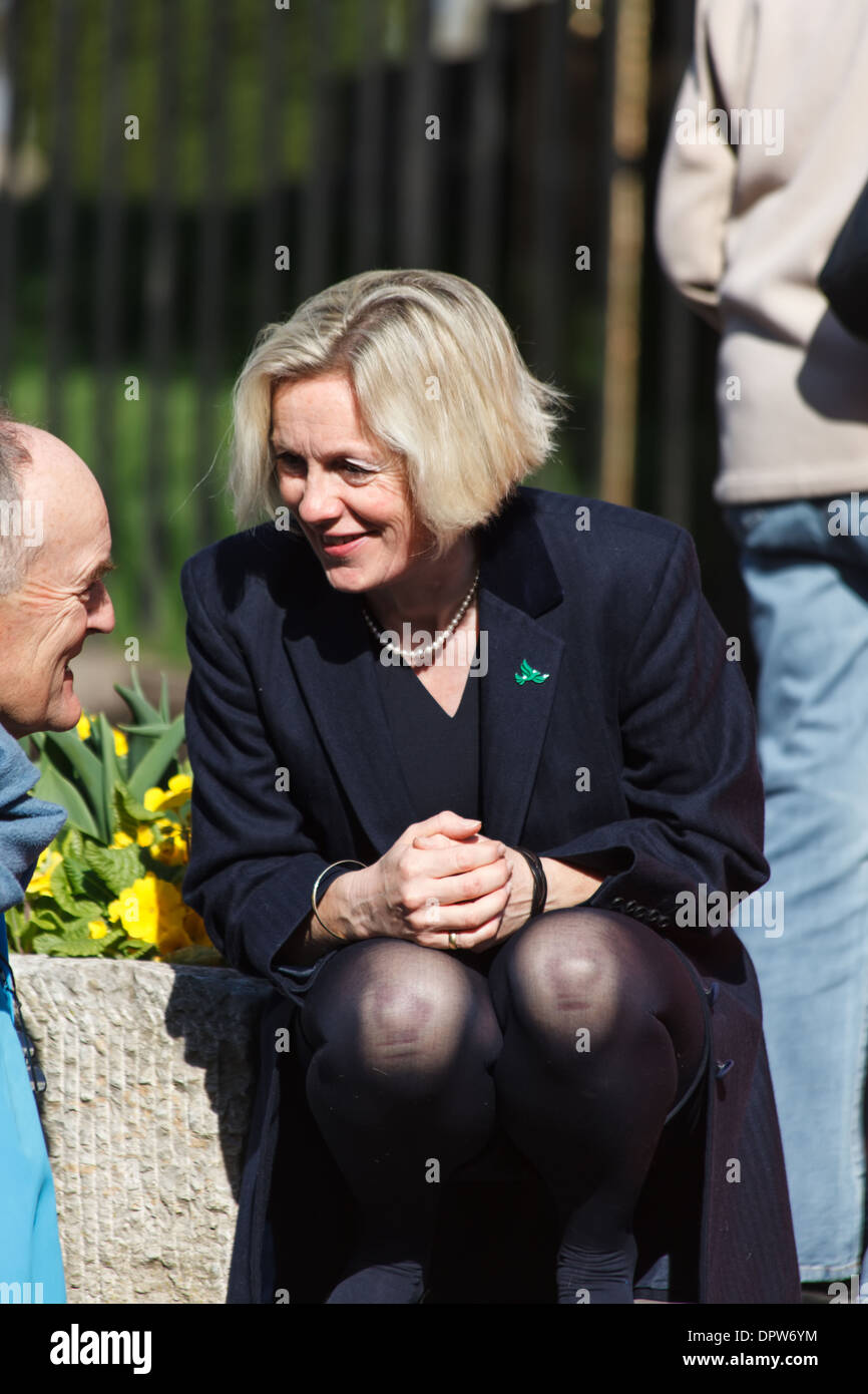 Tessa Munt,MP for Wells, UK Member of Parliament, Liberal Democrat Stock Photo