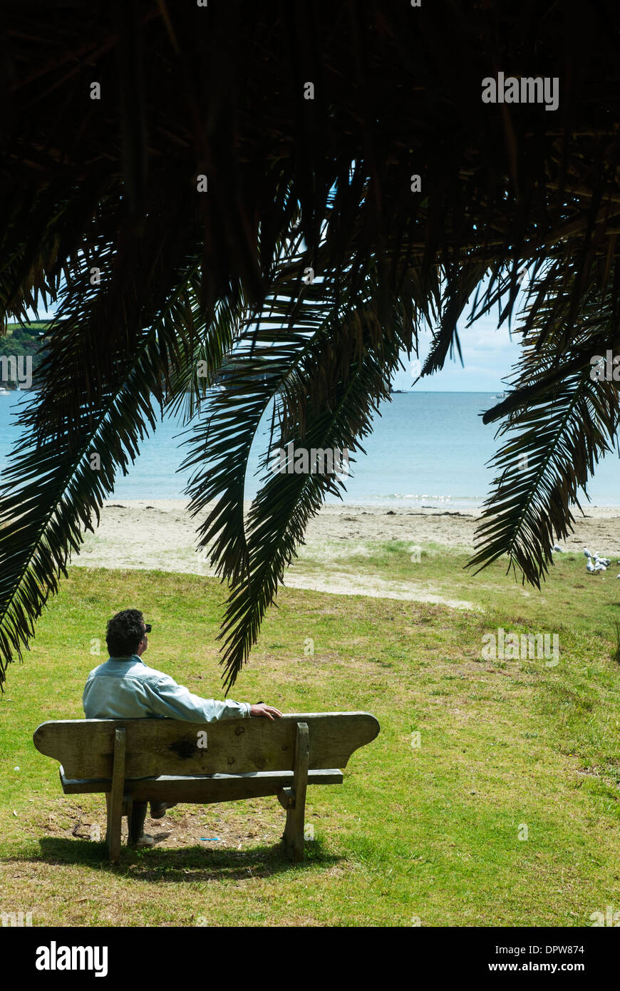 Man relaxing on seaside bench, New Zealand Stock Photo