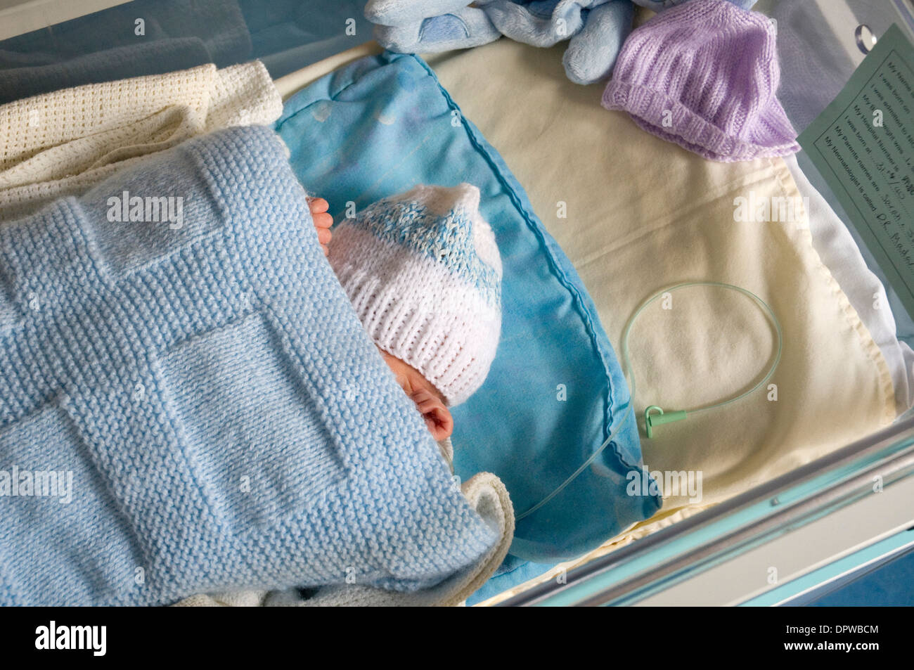 Premature newborn baby boy in hospital cot with a feeding tube Stock Photo 65711316 Alamy