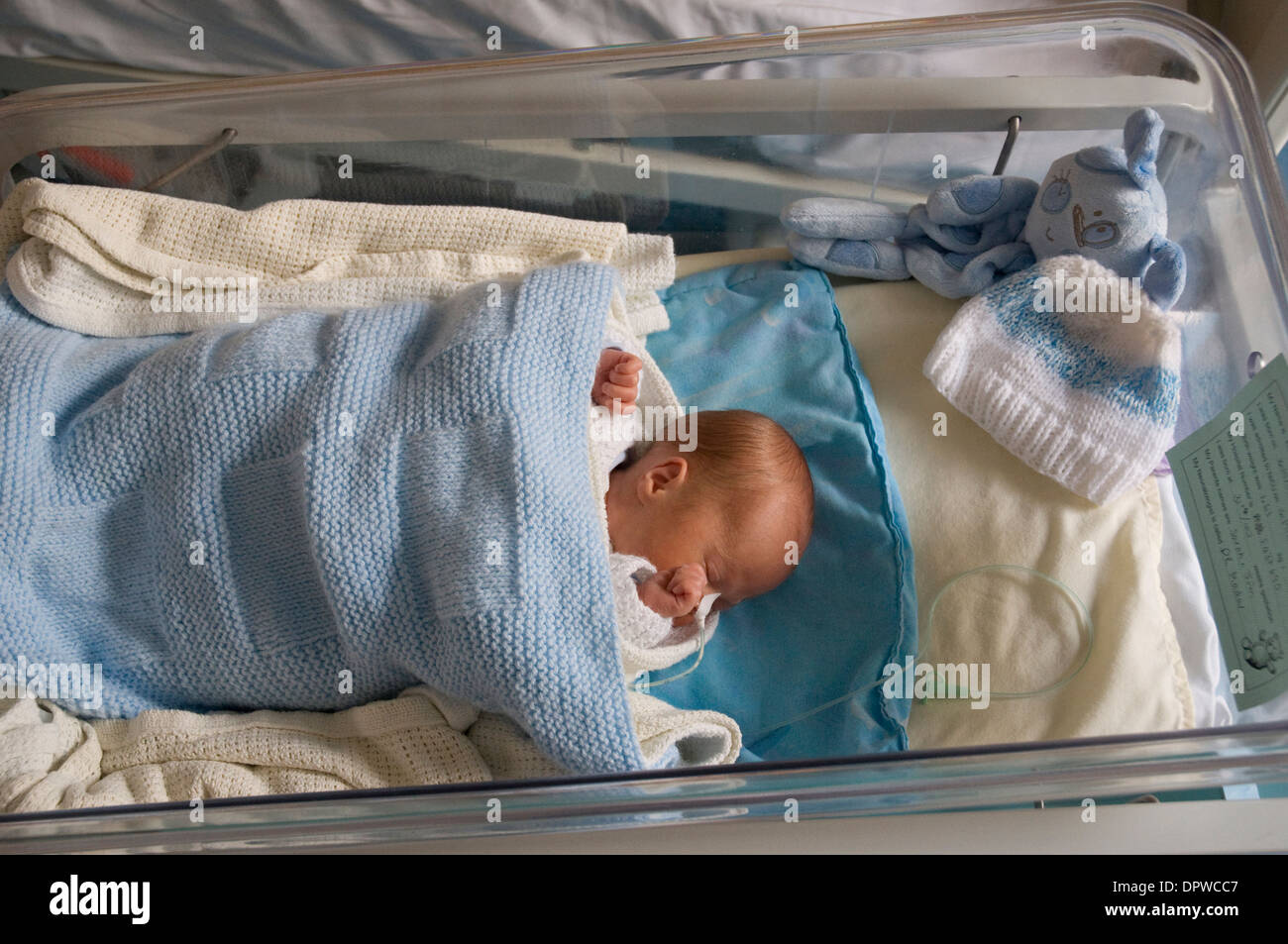 Premature newborn baby boy in hospital cot with a feeding tube attached to his nose Stock Photo