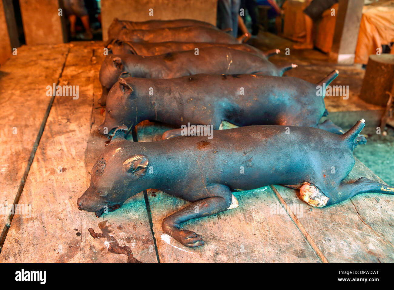 Dead dogs for sale at Tomohon market, north Sulawesi, where dog meat is considered a delicacy Stock Photo