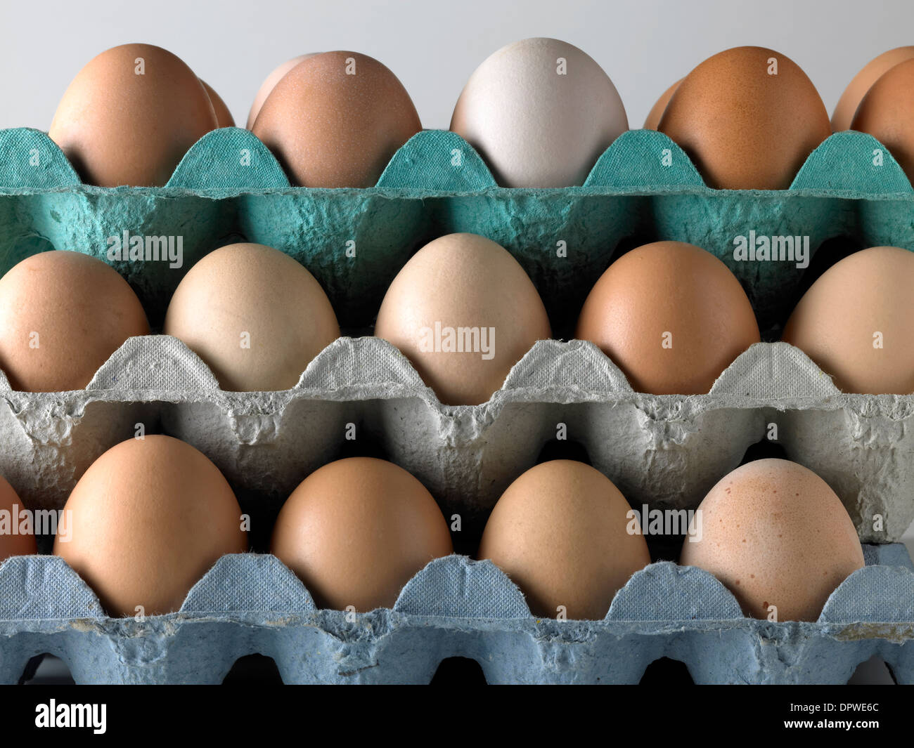 Eggs in egg trays Stock Photo Alamy