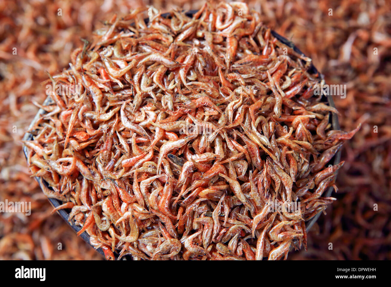 Tiny prawns for sale at Tomohon market in north Sulawesi Stock Photo