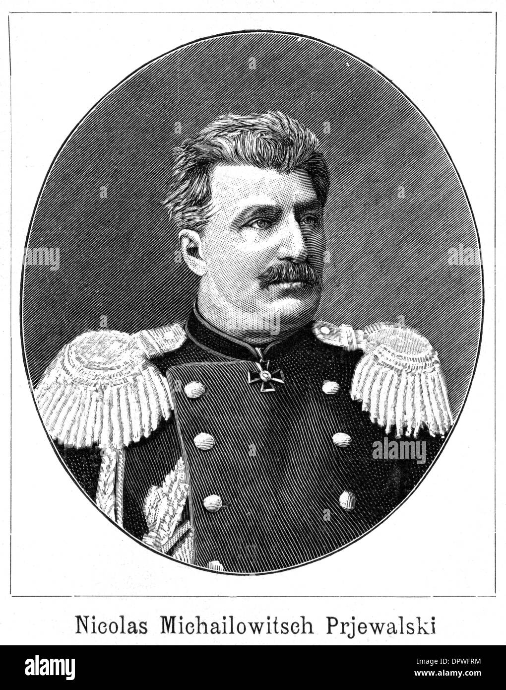 Prevalsky hi-res stock photography and images - Alamy