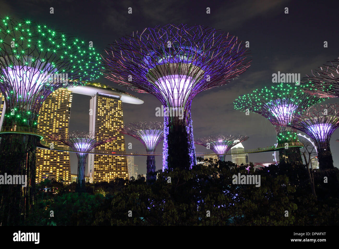 Supertree Grove light show at Gardens by the Bay in Singapore Stock