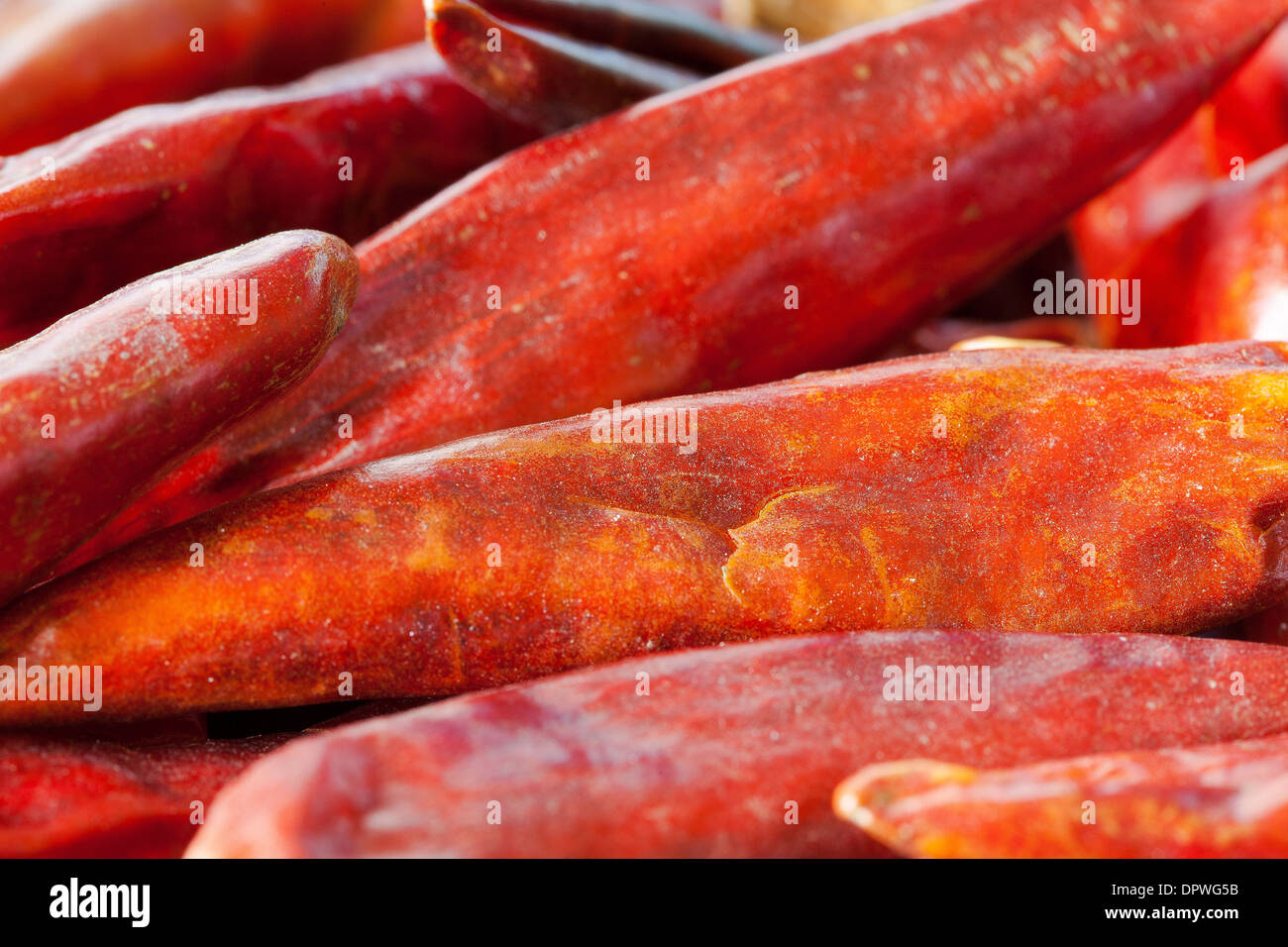 Red Chili Peppers Stock Photo