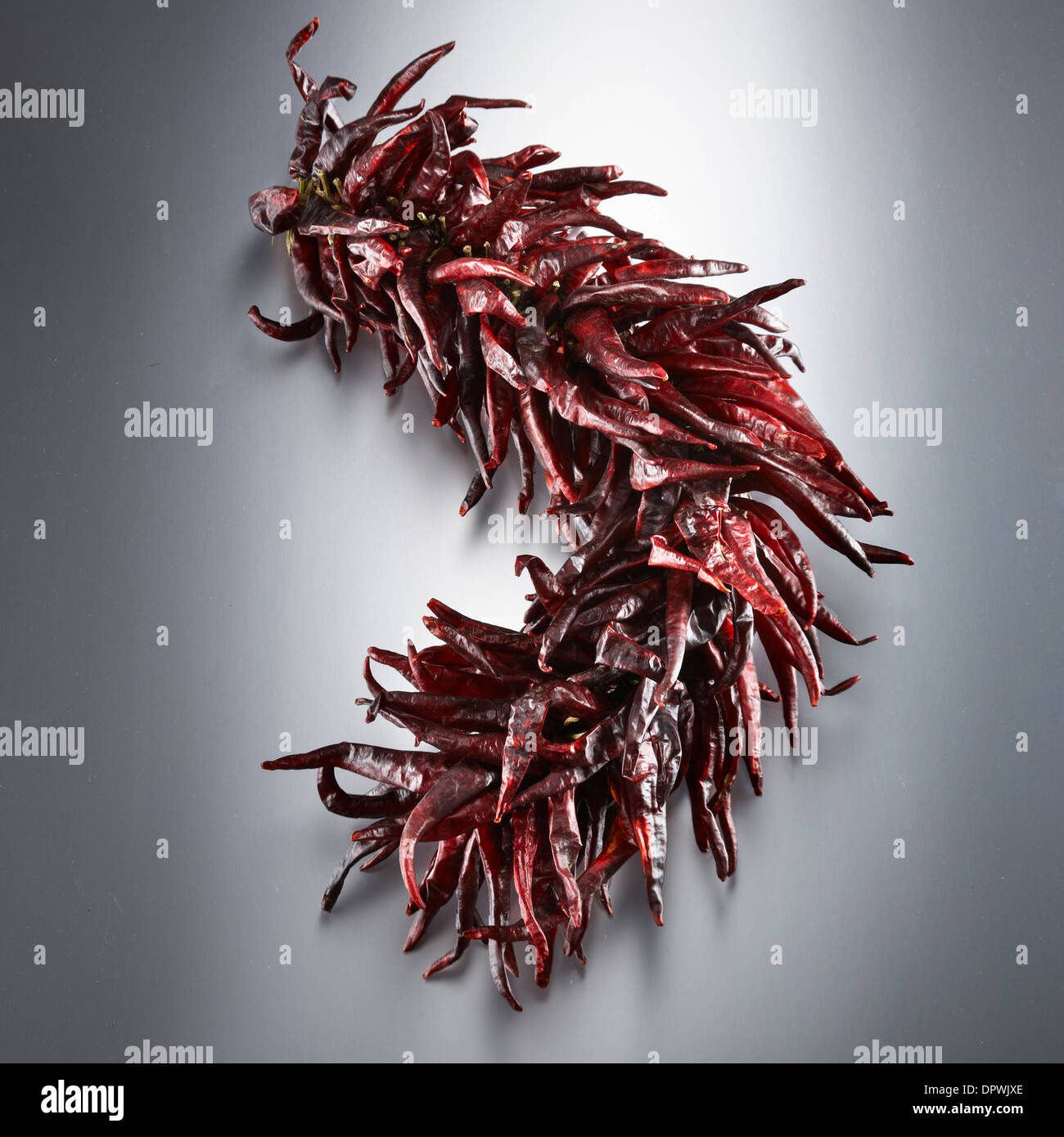 string of dried chillies Stock Photo