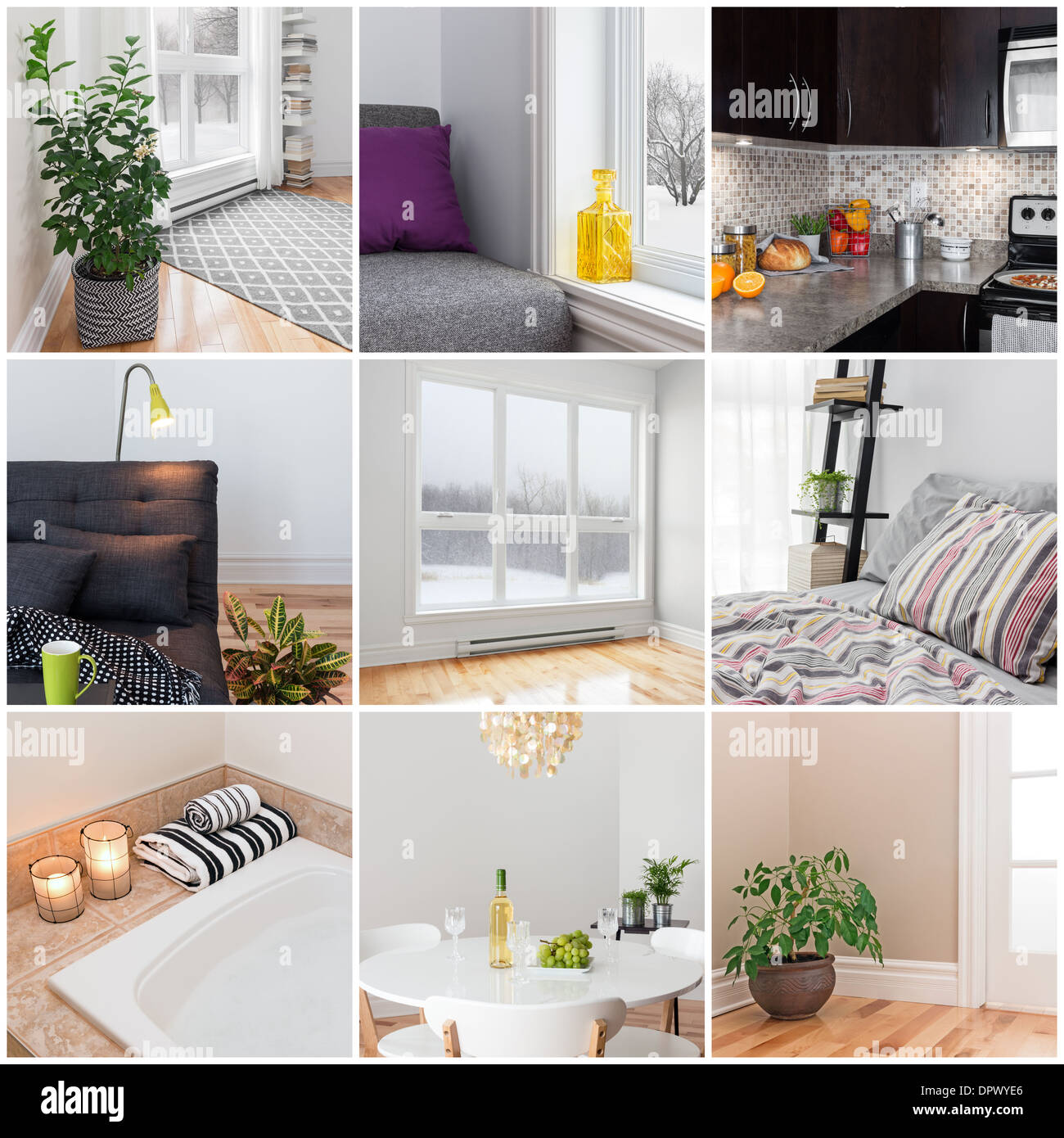 Modern home. Living room, dining room, bedroom, kitchen, bathroom