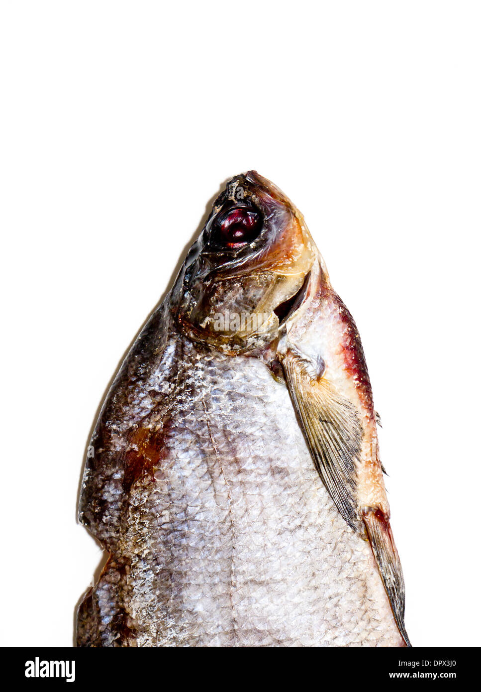 Dehydrated Fish High Resolution Stock Photography and Images Alamy