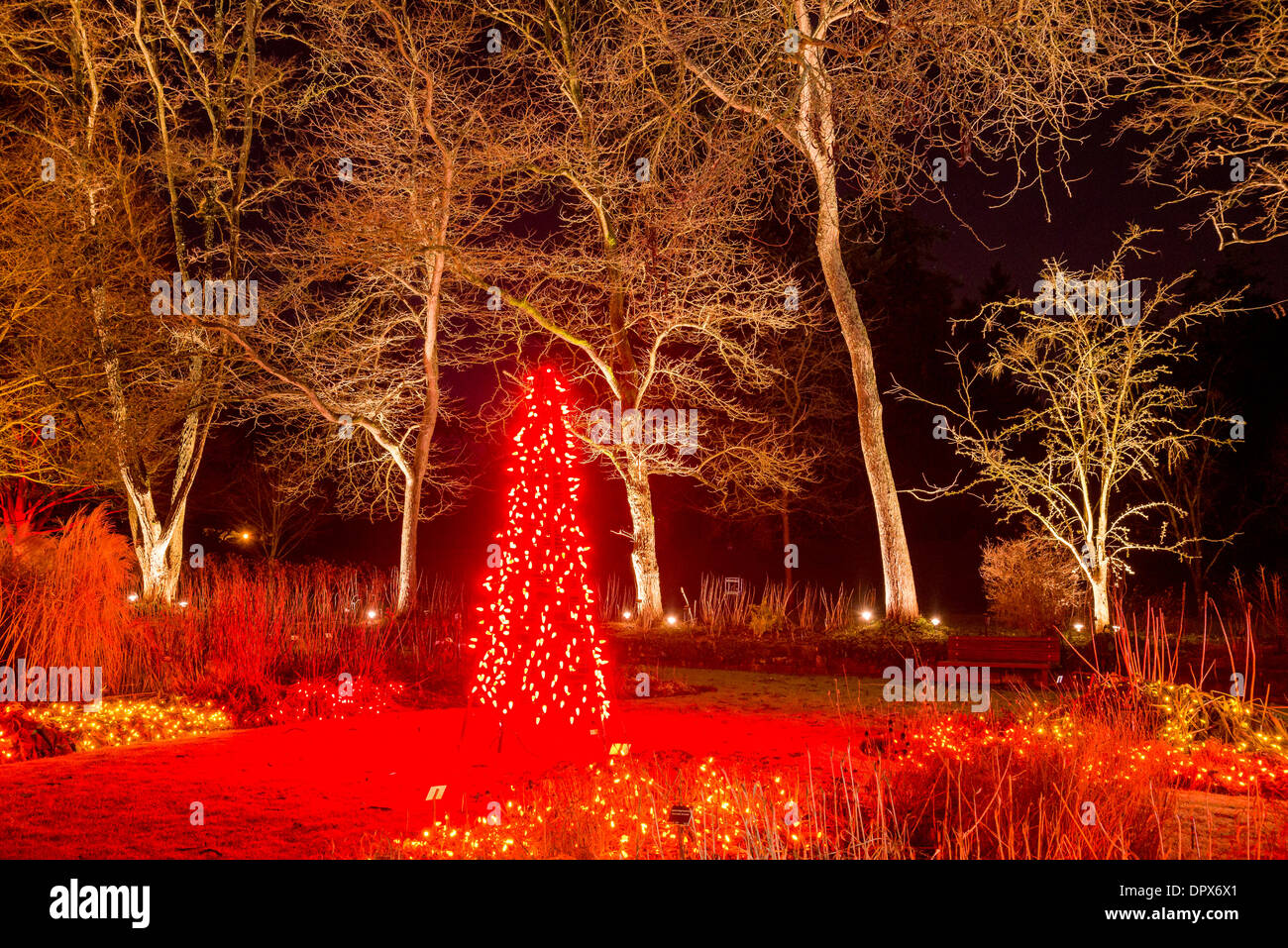 Festival of Lights, VanDusen Botanical Garden, Vancouver, British Columbia, Canada Stock Photo