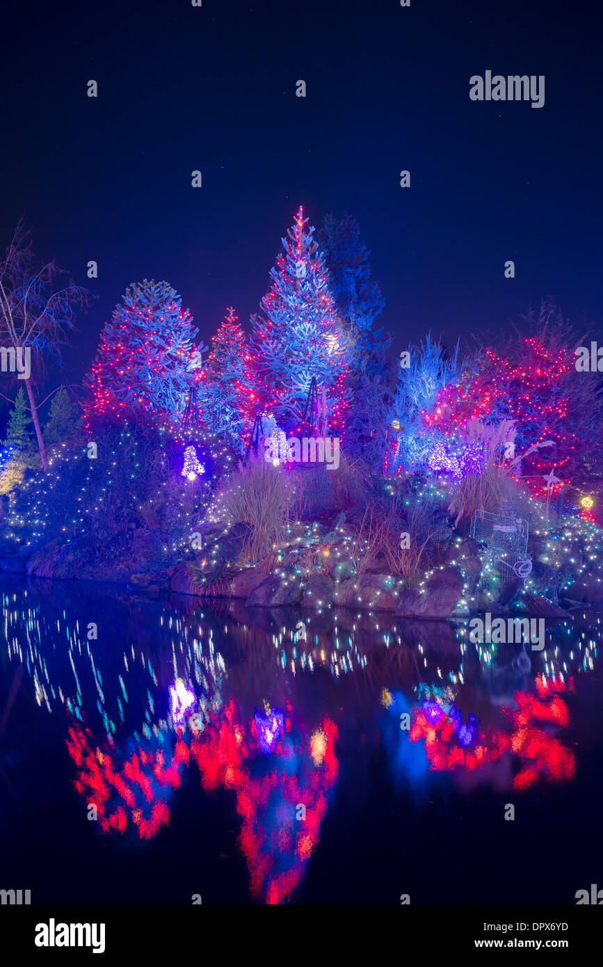 Vandusen Botanical Garden Festival Of Lights 2025 Lineup Flossi Stormi