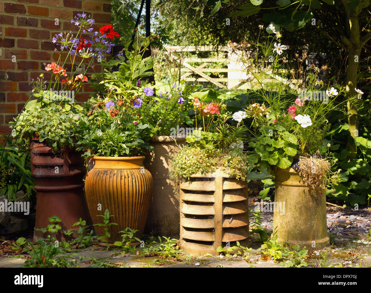 Group of planter with country flowers Stock Photo