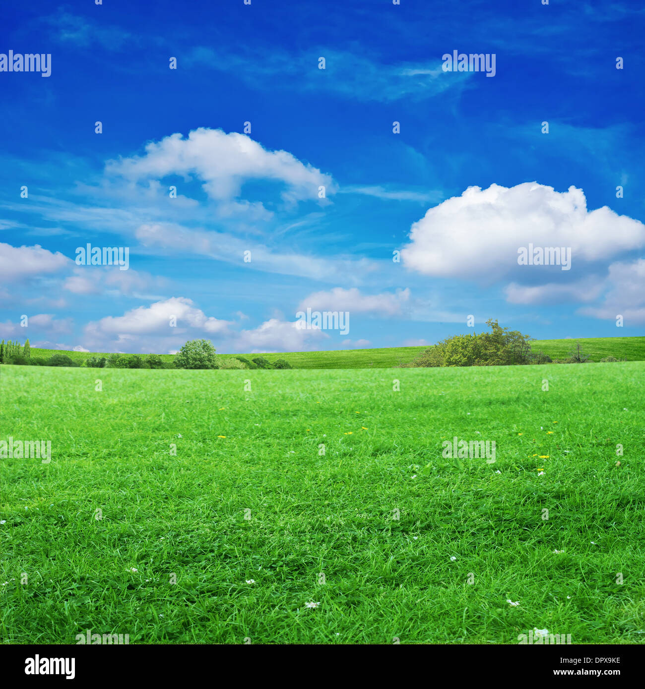 grass field with cloudy sky Stock Photo - Alamy
