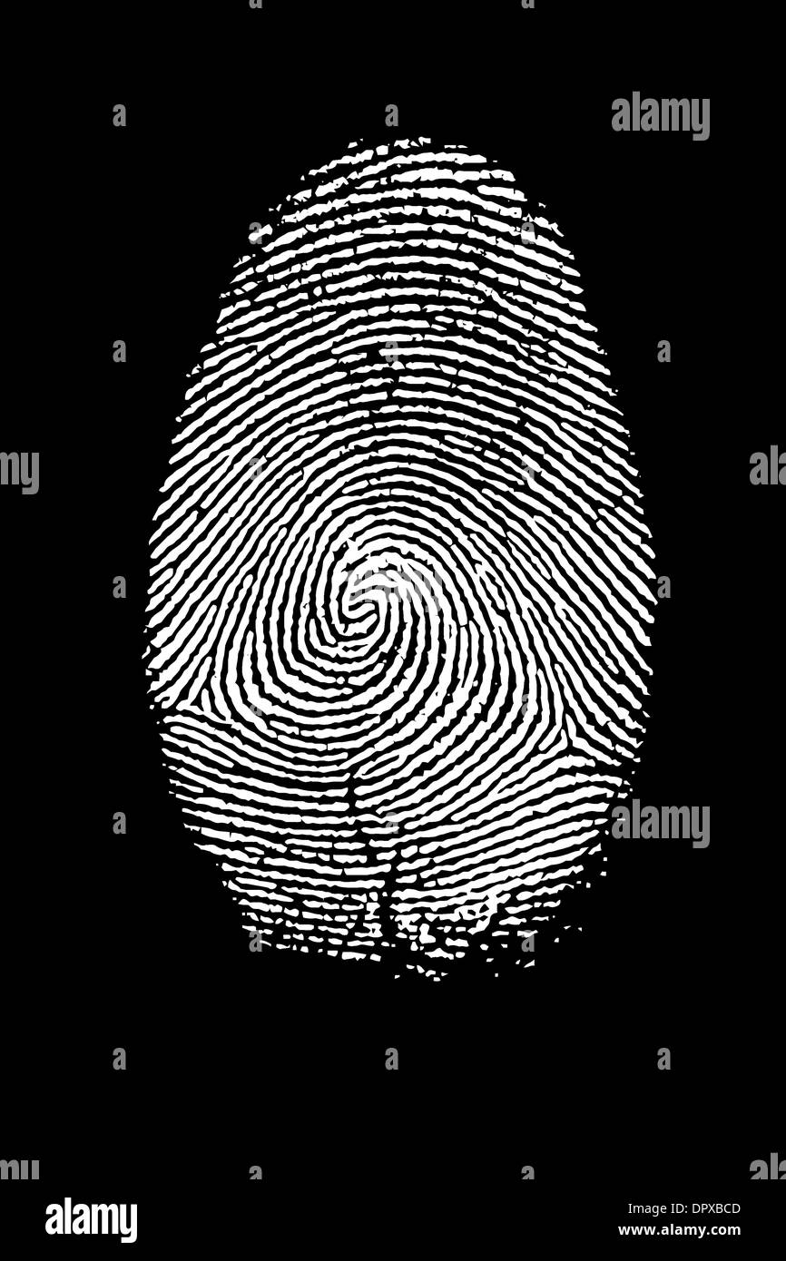 Fingerprint Isolated on Black High Resolution Image. Stock Photo