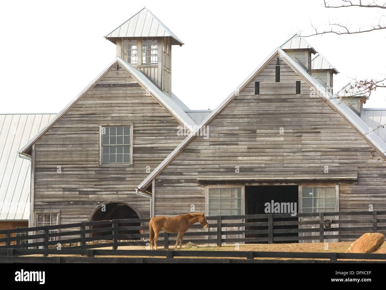 Feb 10, 2009 Palmetto, United States A horse outside the