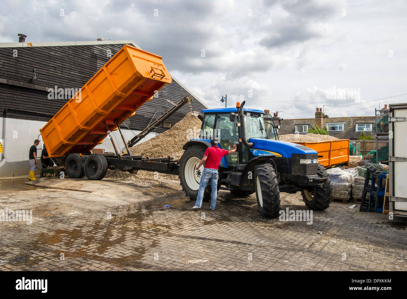 Whitstable Harbour Shellfish Factory New Holland Tractor and Tipper Trailer Stock Photo