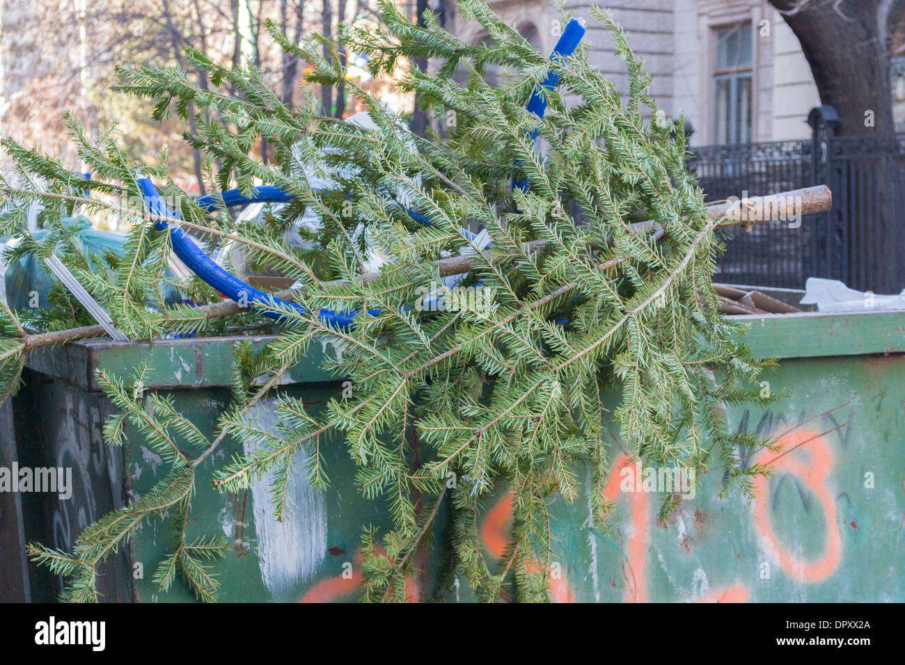 Christmas tree in bin hires stock photography and images Alamy