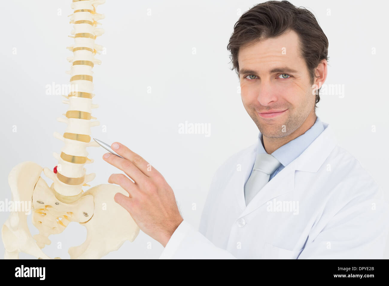 Portrait of a smiling male doctor with skeleton model Stock Photo - Alamy