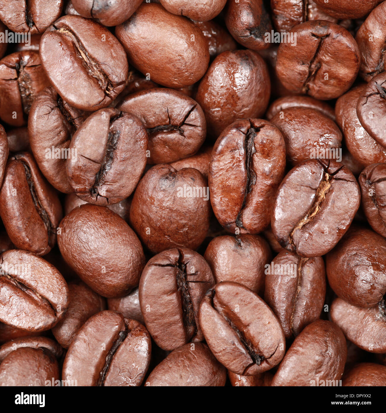 Coffee beans background with space for your own text Stock Photo - Alamy