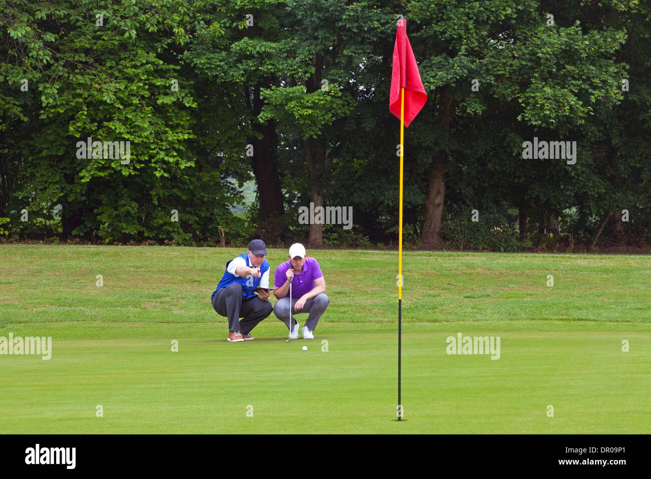 A professional golfer and his caddy reading the green to judge the line of the putt. Series of three photos. Stock Photo