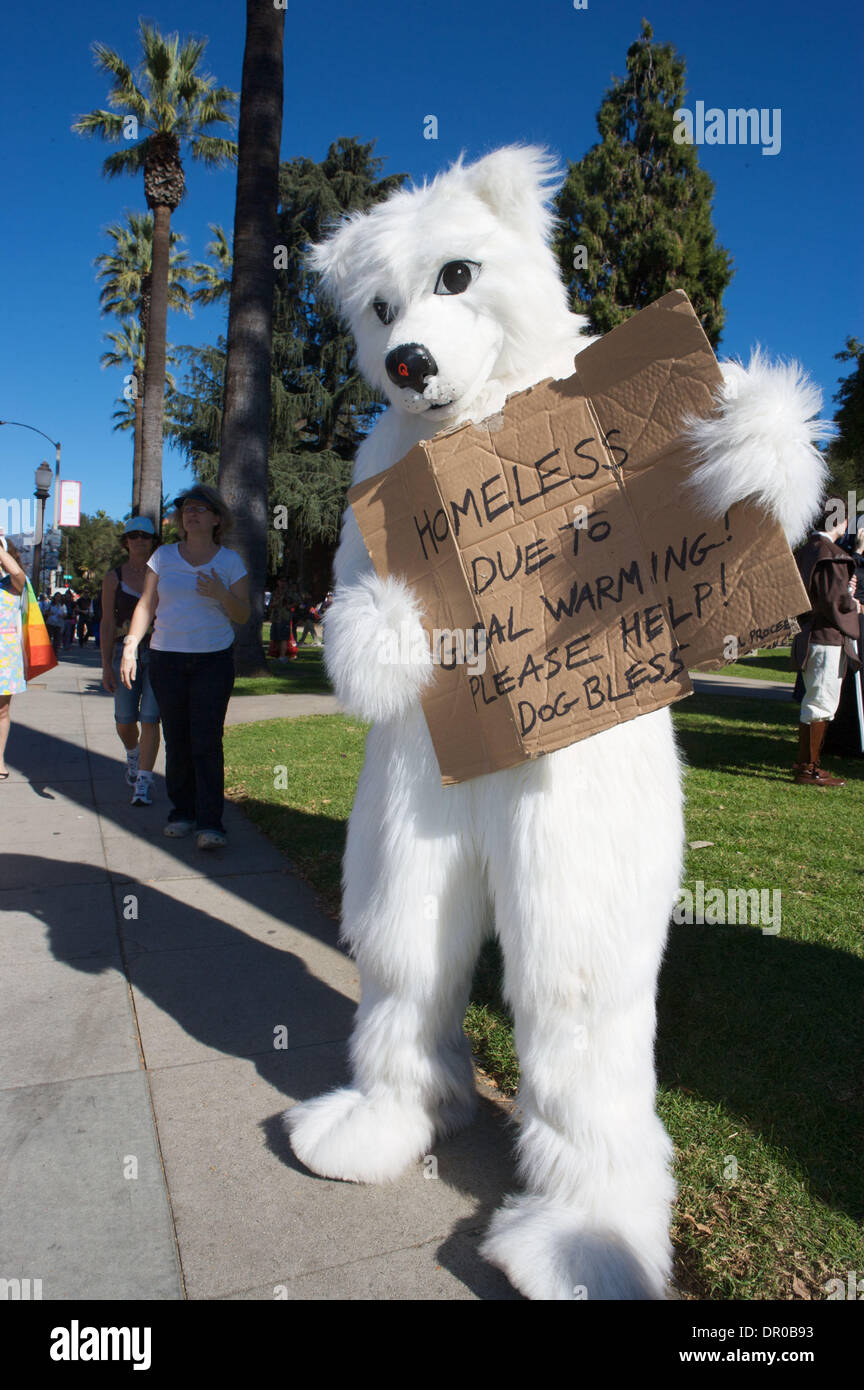 Jan 18, 2009 - Pasadena, California, USA - Homeless Polar Bear, due to ...