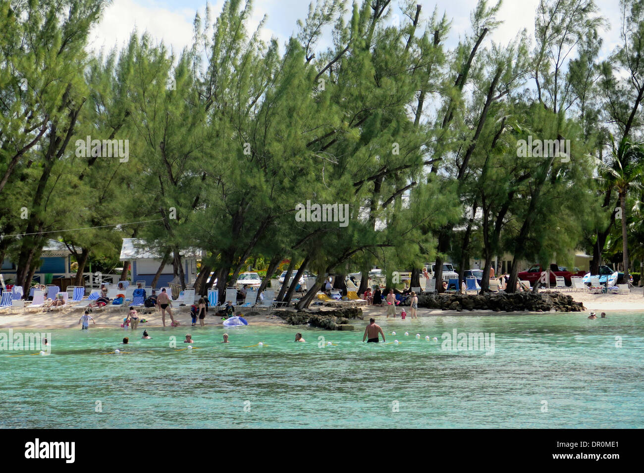 Sandy beach shaded by casuarina trees at Rum Point on Grand Cayman Island Stock Photo