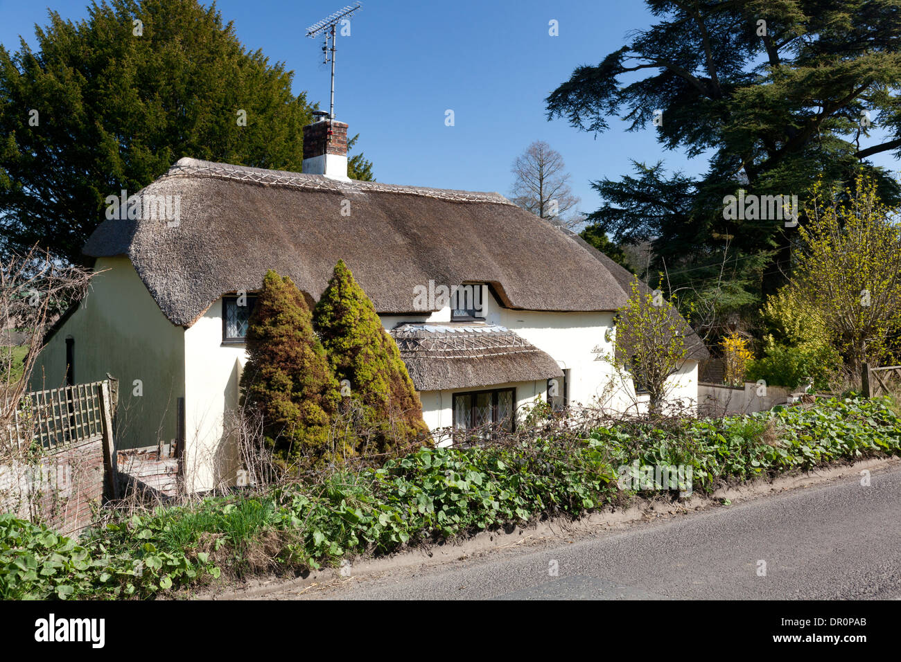 White thatched cottage hi-res stock photography and images - Alamy