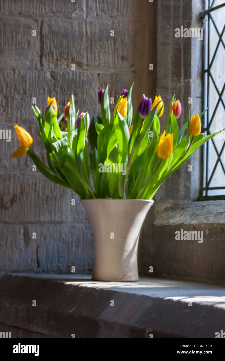 Tulips vase spring window uk hires stock photography and images Alamy