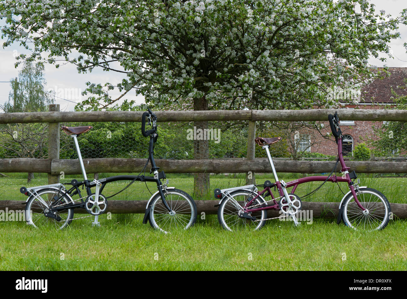 Side view of two Brompton Bicycles in the color of black and Claret Stock Photo
