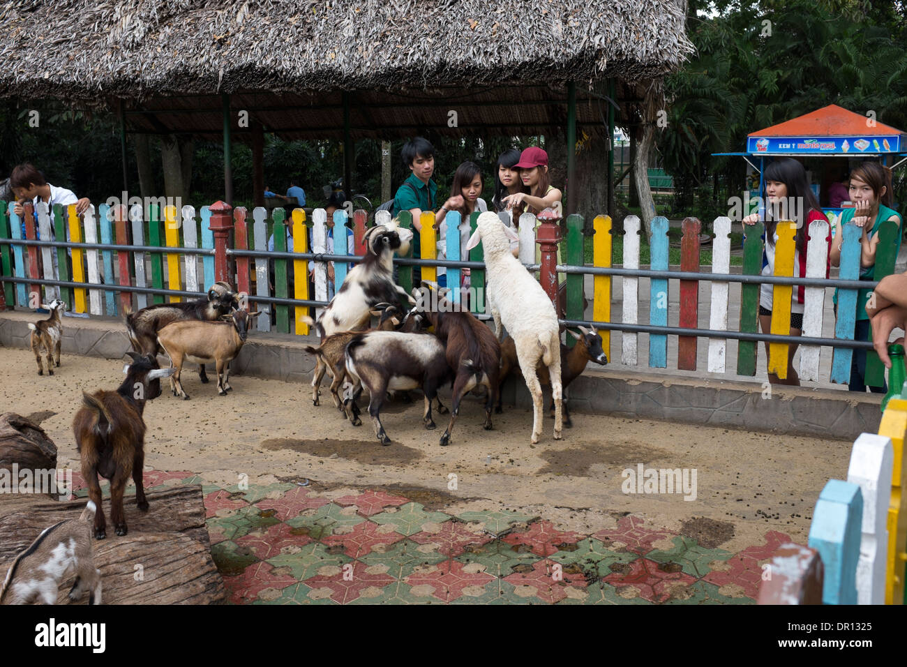 Feeding Goats at Saigon Zoo and Botanical Garden Ho Chi Minh City Stock Photo