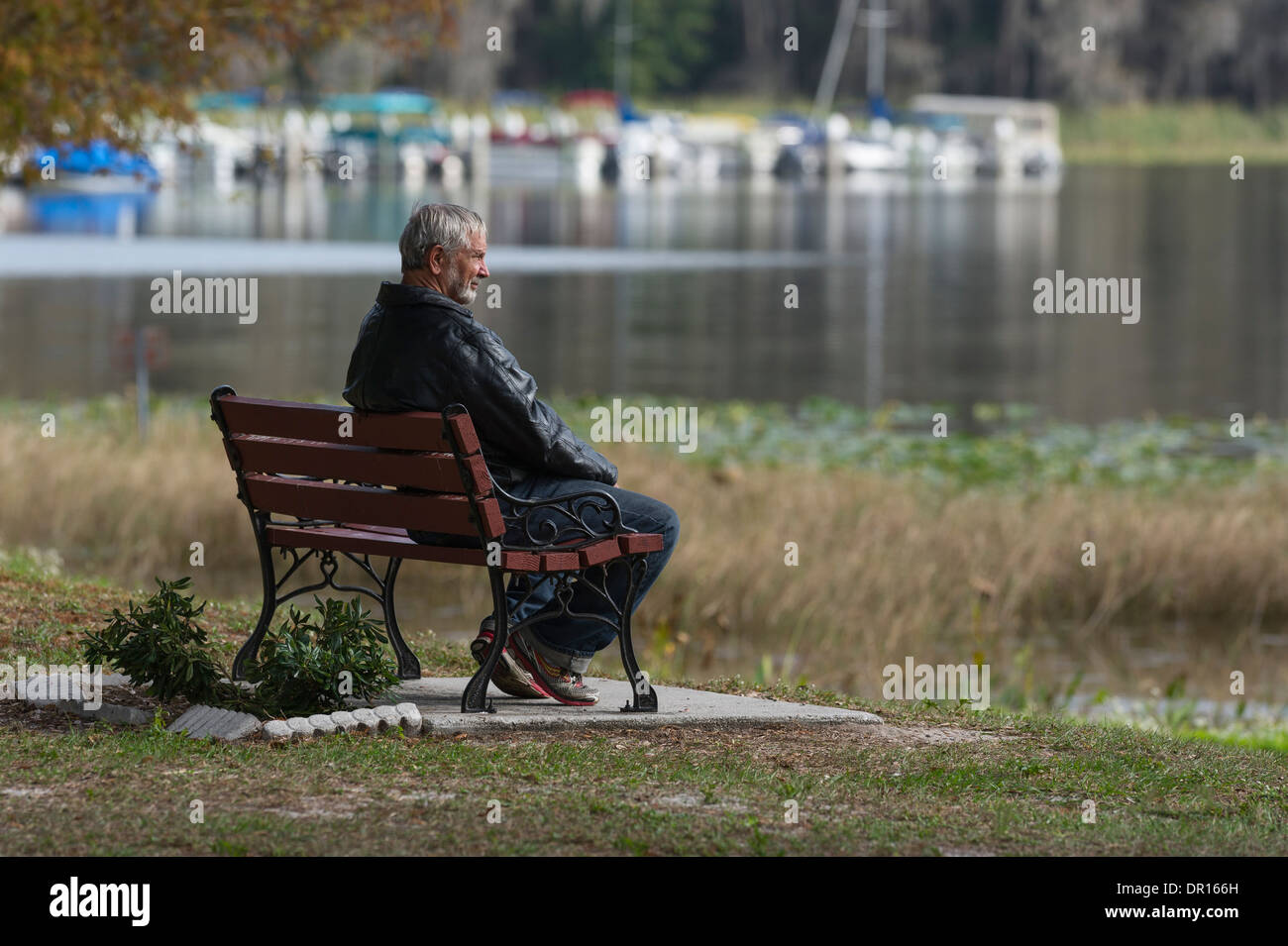 A man sitting alone on a Park bench in Leesburg Florida Stock Photo - Alamy