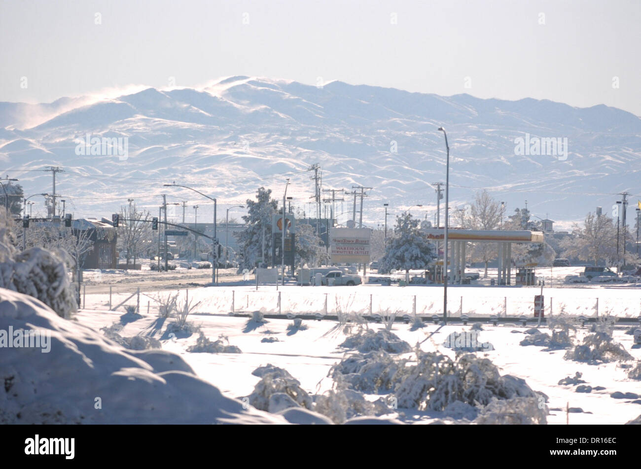 Dec 18, 2008 - Victorville, California, USA - The High Desert Stock 