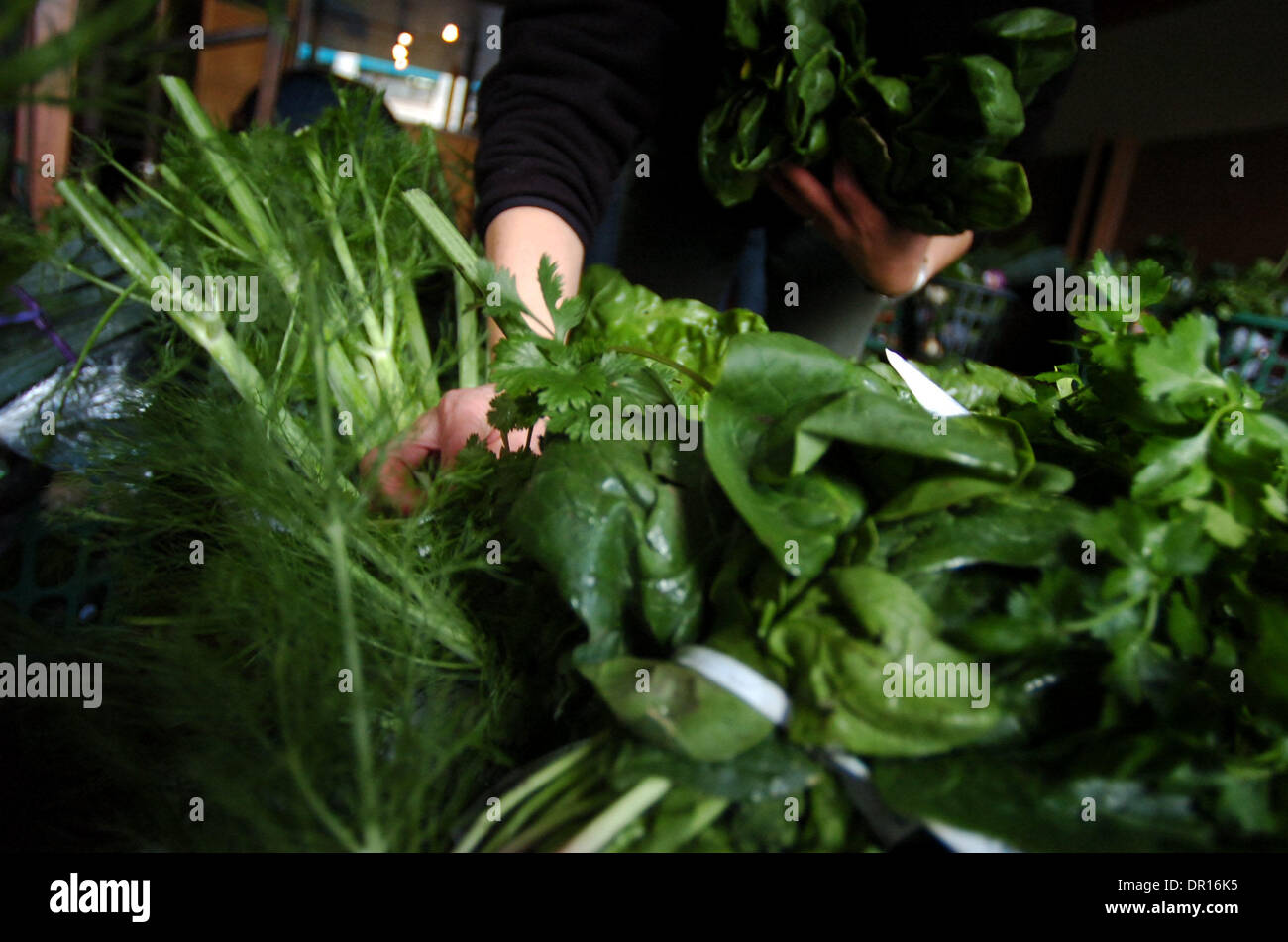 Jan 03, 2009 Redlands, California, USA Organizers and volunteers