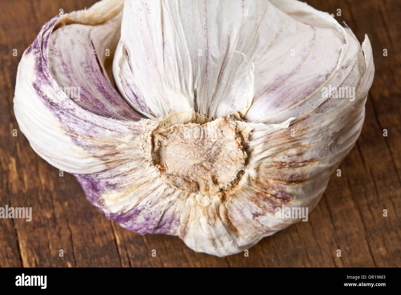 Garlic bulb Stock Photo