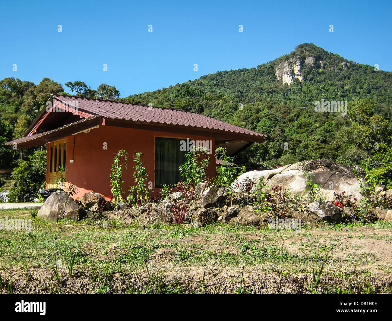 Resort With Mountain in Doi Inthanon National Park Stock Photo