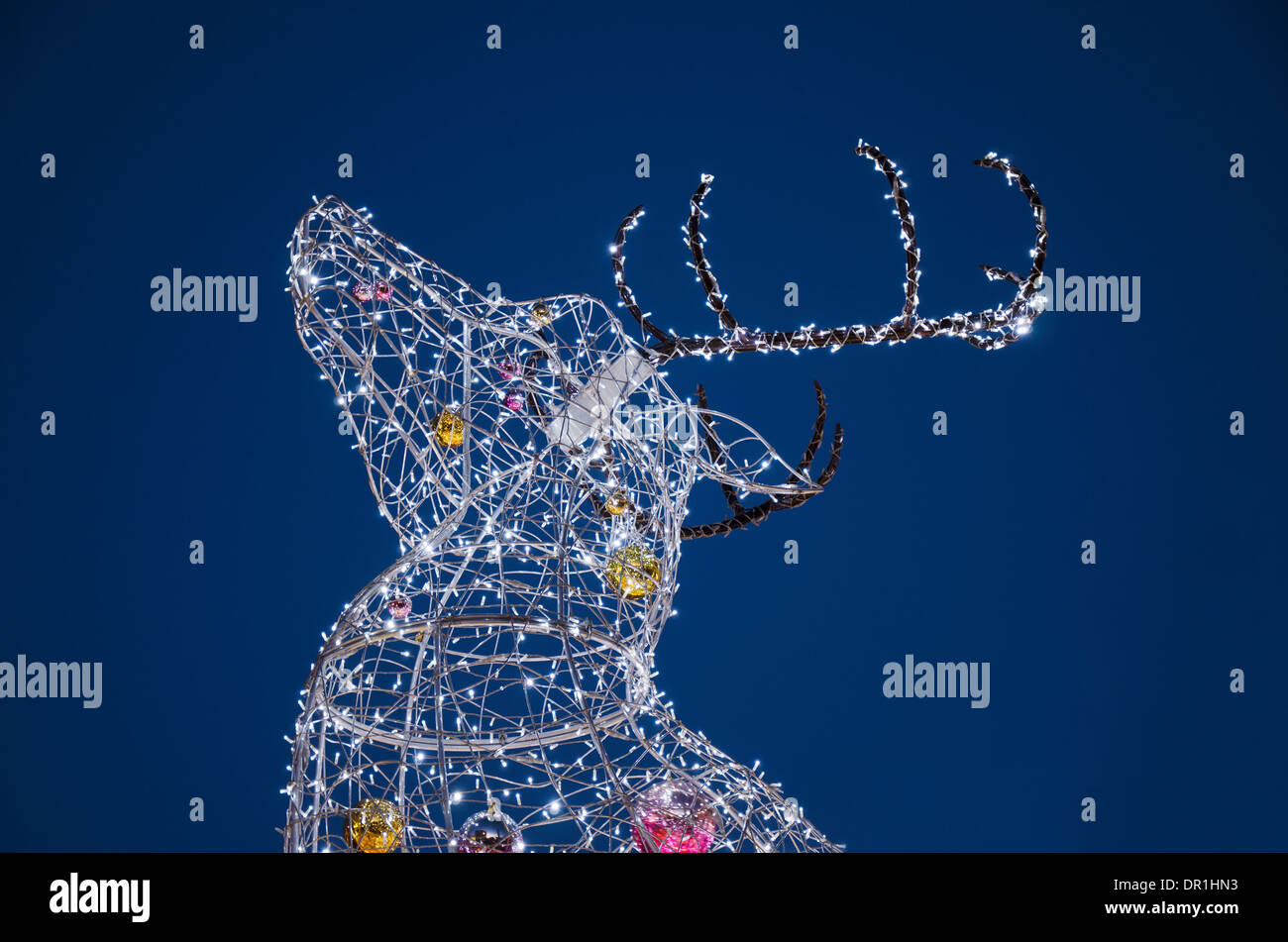 The electric Christmas reindeer Stock Photo Alamy