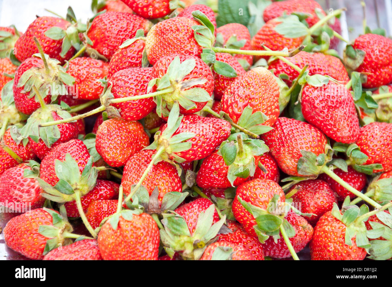 strawberry fruit for healthy food Stock Photo Alamy