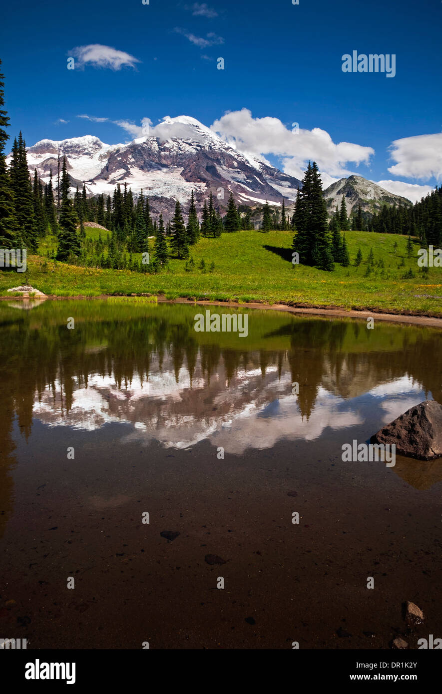 WASHINGTON - Mount Rainier reflecting in a small pond in Indian Henry's Hunting Ground in Mount Rainier National Park. Stock Photo