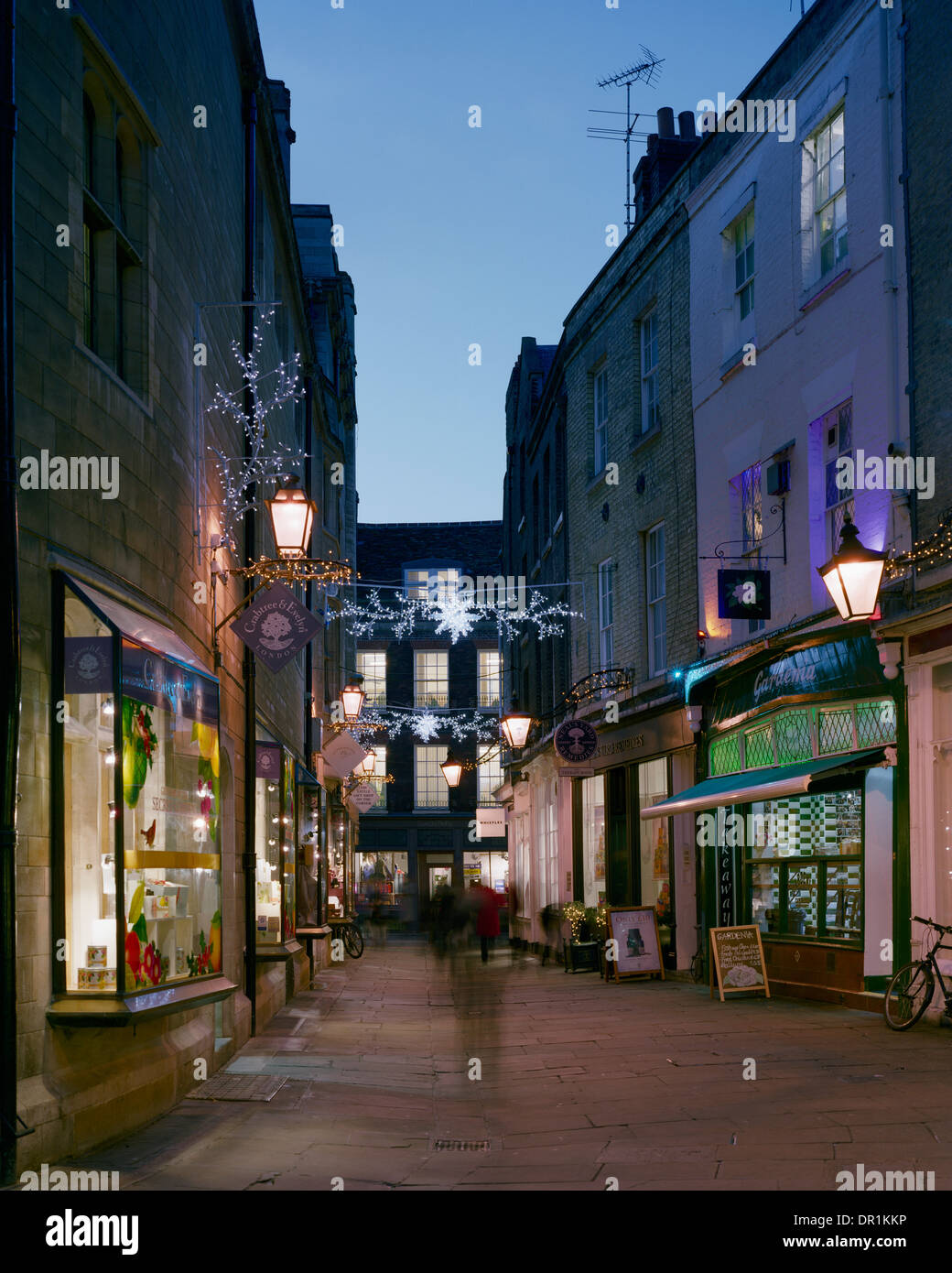 Christmas lights in Rose Crescent Cambridge Stock Photo Alamy