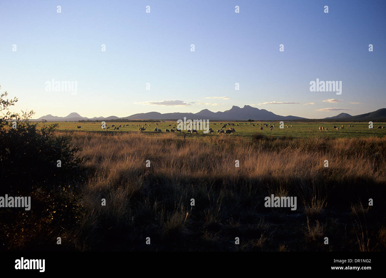 Australia, WA, the Sterling ranges National Park, as seen from ...