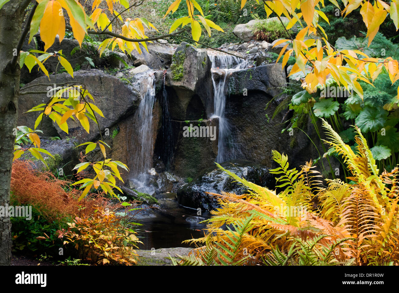 Tiny Falls at 2024 Bellevue Botanical